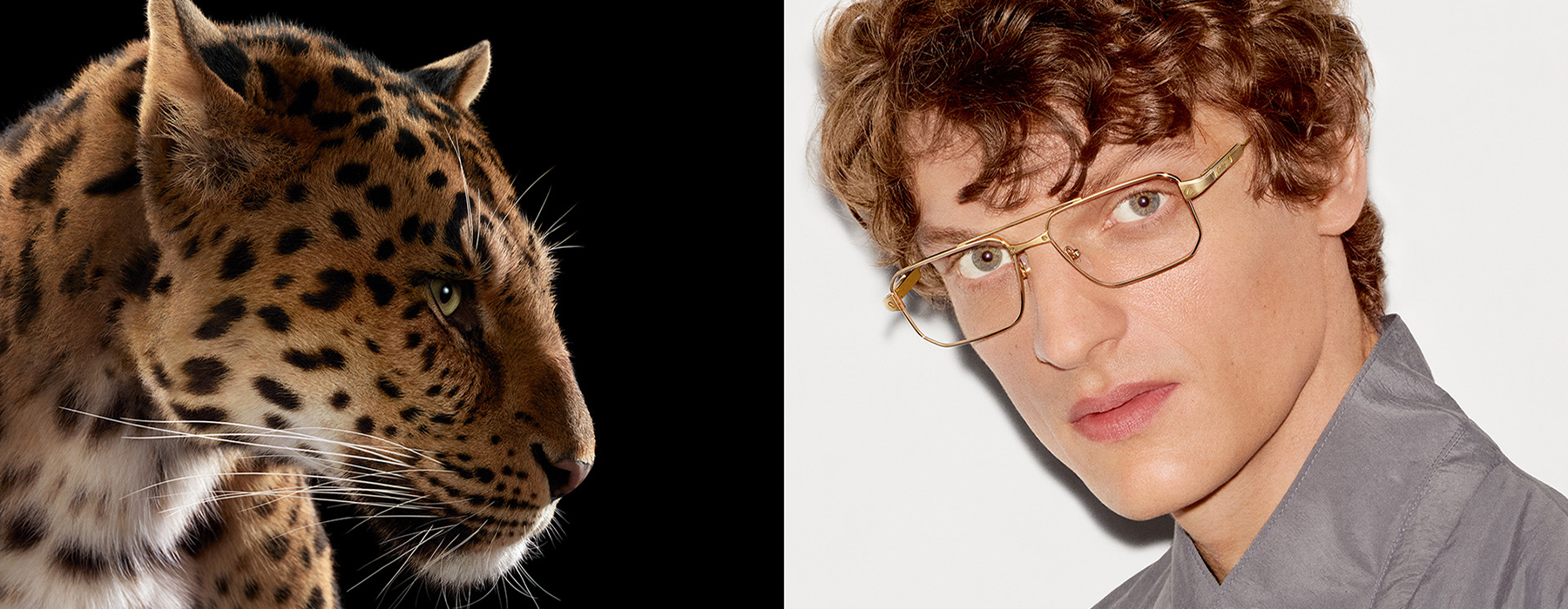 Cartier eyewear