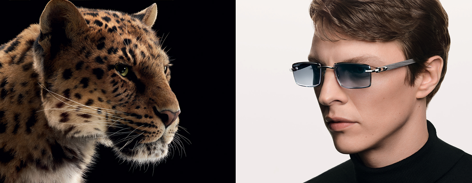 Cartier eyewear